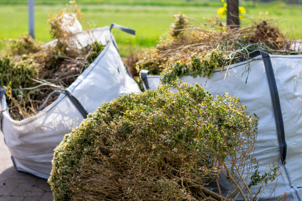 Best Furniture Removal  in Princeton, FL